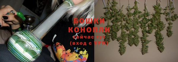 крисы Верея
