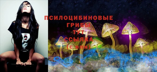 крисы Верея