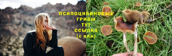 jwh Верхний Тагил