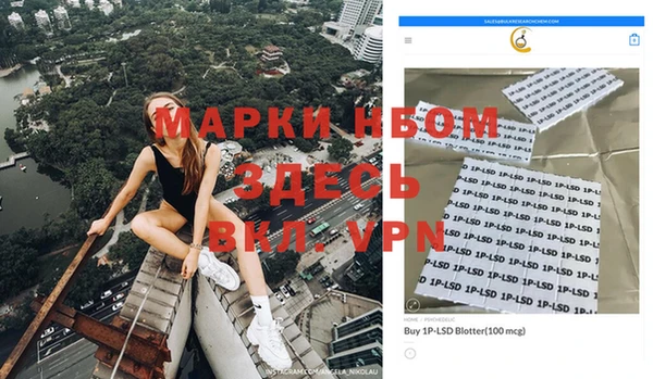 крисы Верея