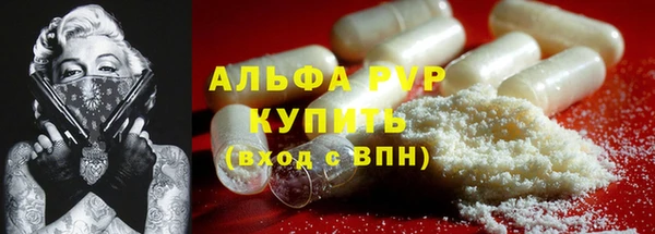 крисы Верея