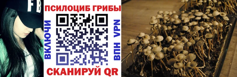 Галлюциногенные грибы ЛСД  Купить где  Лагань 